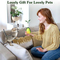 HKM-3493181 Catnip Feeder and Self-Grooming Cat Toy with Corner Massage Scraper for Indoor Cats