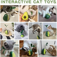 HKM-3493181 Catnip Feeder and Self-Grooming Cat Toy with Corner Massage Scraper for Indoor Cats