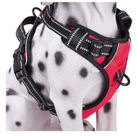 HKM-3494973 Adjustable Breathable Reflective Chest Strap for Medium and Large Dogs in Black, Red, Green