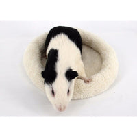 HKM-3495741 Cozy Plush Pet Mat for Small Animals - Hamster, Hedgehog, Rabbit, Green Crocodile & Beige Kangaroo