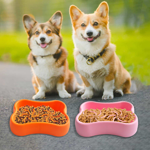 HKM-3506237 Silicone Pet Bowl in Various Colors for Dogs and Cats