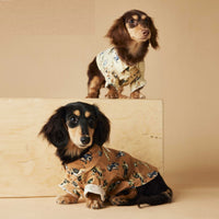 HKM-3507005 Casual Cotton Dog Shirt with Dachshund, Schnauzer, Teddy, Bichon & Maltese Prints in Beige and Brown