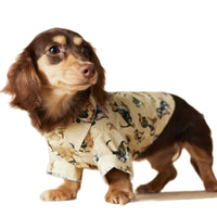 HKM-3507005 Casual Cotton Dog Shirt with Dachshund, Schnauzer, Teddy, Bichon & Maltese Prints in Beige and Brown