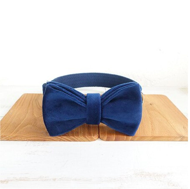 HKM-3509181 Dark Blue Velvet Pet Collar with Traction Chain for Dogs - Adjustable Size Options