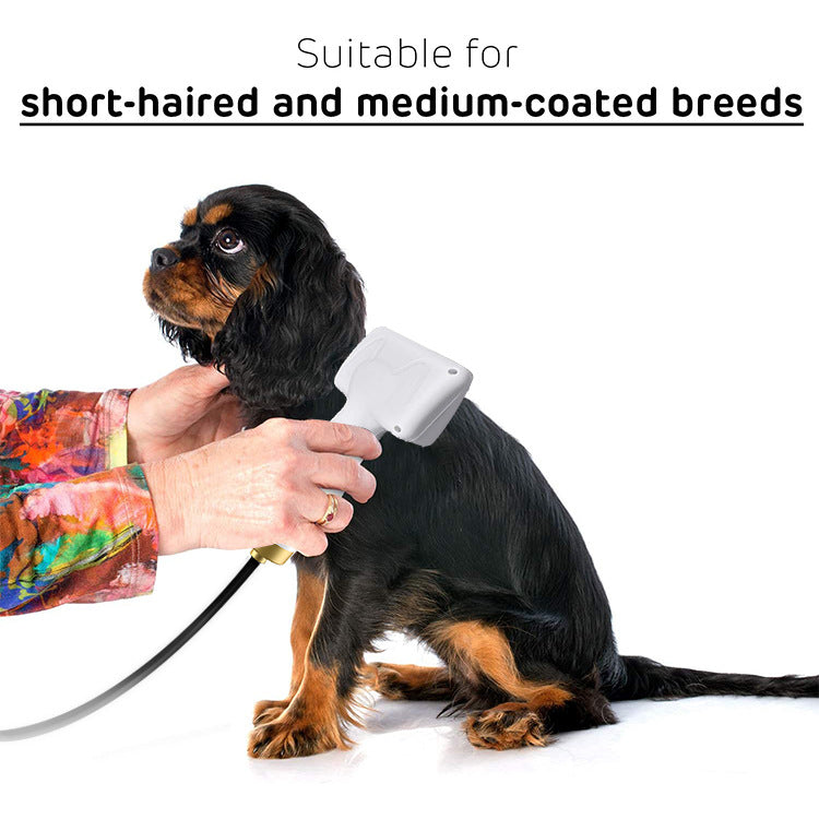 HKM-3512765 Pet Hair Dryer with ABS Material and 360¡ã Rotating Power Cord, 380W, White