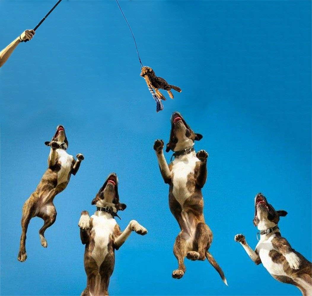 HKM-3514429 Extendable Teaser Wand for Interactive Dog Play - Safe Chew Rope Toy for All Dog Sizes
