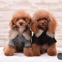 HKM-3517501 British Style Plush Padded Cotton Pet Outfit for All Sizes
