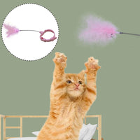 HKM-3524669 Feathered Cat Teaser Wand - Simple Stylish Pet Toy in Pink and Blue