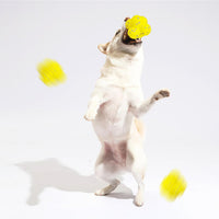 HKM-3525949 Calming Fetch Tennis Ball for Dogs - Soft, Lightweight Toy to Ease Anxiety and Promote Activity