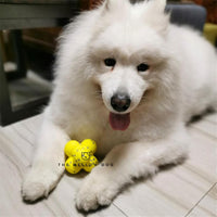 HKM-3525949 Calming Fetch Tennis Ball for Dogs - Soft, Lightweight Toy to Ease Anxiety and Promote Activity