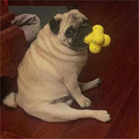 HKM-3525949 Calming Fetch Tennis Ball for Dogs - Soft, Lightweight Toy to Ease Anxiety and Promote Activity
