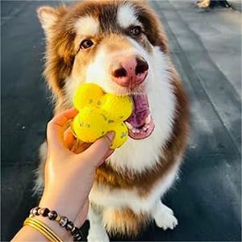HKM-3525949 Calming Fetch Tennis Ball for Dogs - Soft, Lightweight Toy to Ease Anxiety and Promote Activity