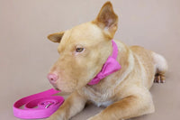 HKM-3528253 Pink Velvet Adjustable Dog Collar - Comfortable Polyester Pet Leash for XS to XL Sizes