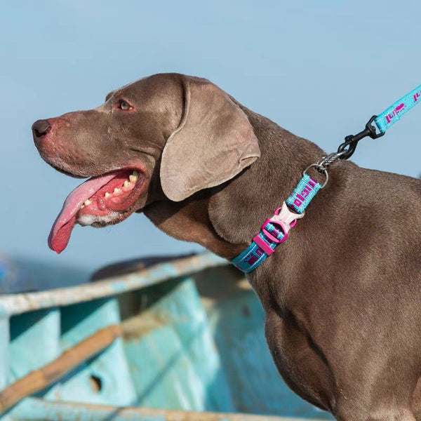 HKM-3530429 Reflective Explosion-Proof Chain Collar for Large, Medium, and Small Dogs - Durable 304 Stainless Steel