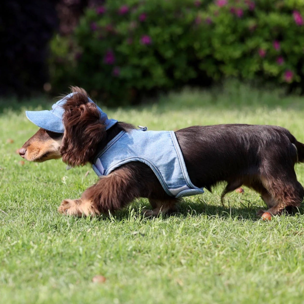 HKM-3534013 Pet Sun Protection Denim Cowboy Hat for Dogs - Sizes S, M, L, XL