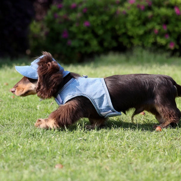 HKM-3534013 Pet Sun Protection Denim Cowboy Hat for Dogs - Sizes S, M, L, XL
