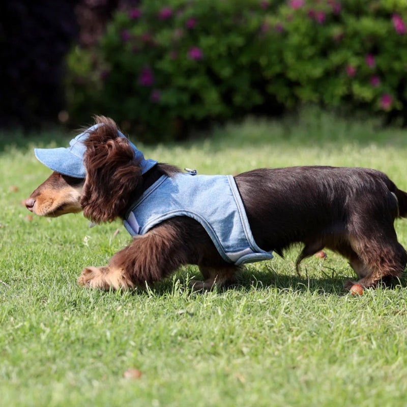 HKM-3534013 Pet Sun Protection Denim Cowboy Hat for Dogs - Sizes S, M, L, XL