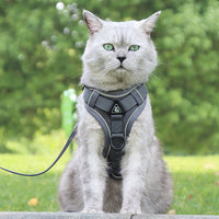 HKM-3539773 Anti-Breakaway Cat Rope with Silver Gradient Chain and Multiple Color Options