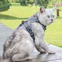 HKM-3539773 Anti-Breakaway Cat Rope with Silver Gradient Chain and Multiple Color Options