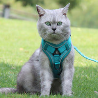 HKM-3539773 Anti-Breakaway Cat Rope with Silver Gradient Chain and Multiple Color Options