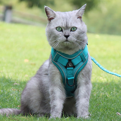 HKM-3539773 Anti-Breakaway Cat Rope with Silver Gradient Chain and Multiple Color Options