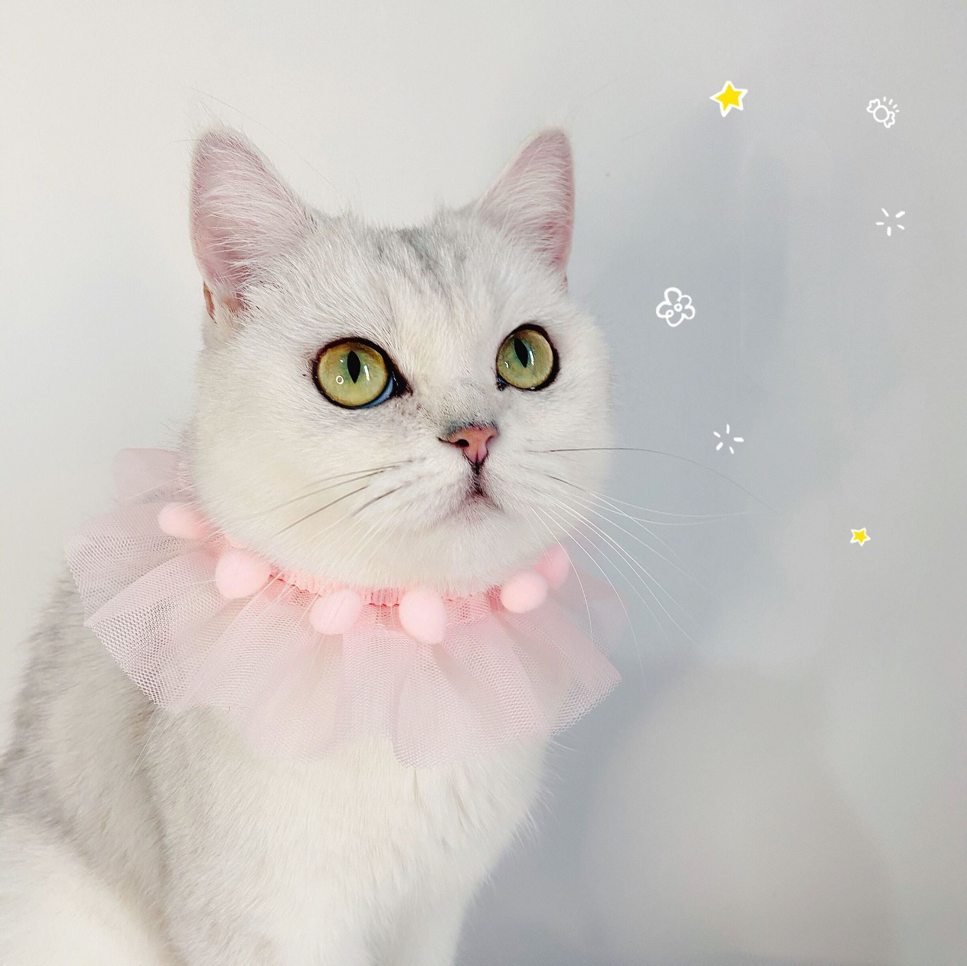 HKM-3541949 Adjustable Lace Pet Collar for Cats and Dogs - Pink, Blue, White Organza, Small to Medium Sizes