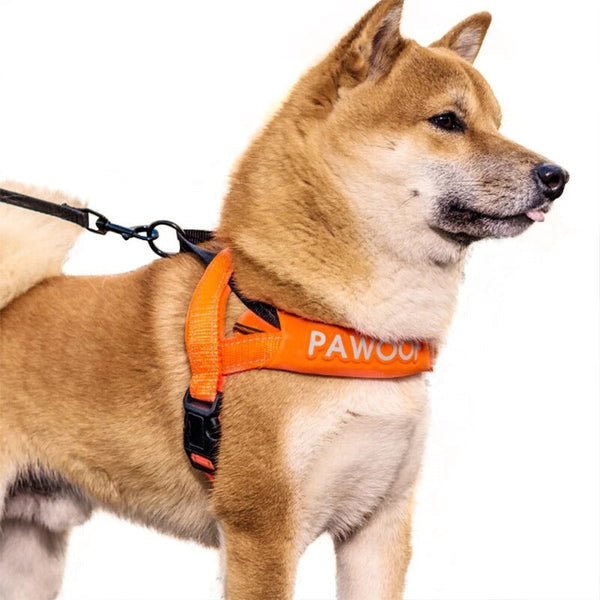 HKM-3548989 Adjustable Nylon Dog Chest Strap with Leash - Orange and Green Options, Various Sizes Available