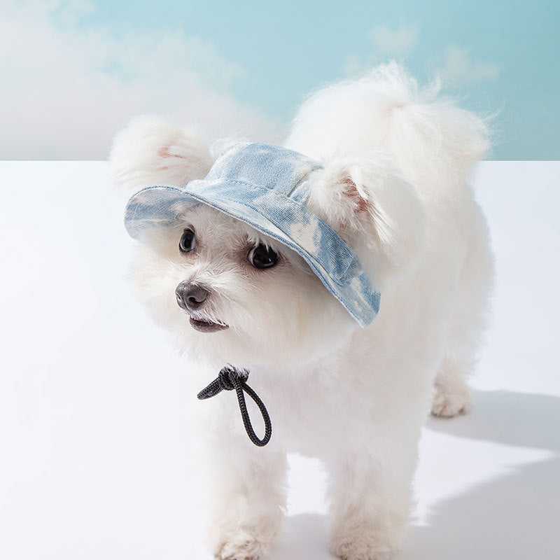 HKM-3556029 Cute Anti-Fall Pet Hat with Leaking Ears for All Seasons - Multiple Sizes Available