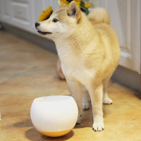HKM-3561405 Anti-Overturning Dog Bowl with Drop-Resistant Design, Silicone Base, 17.4 cm Diameter