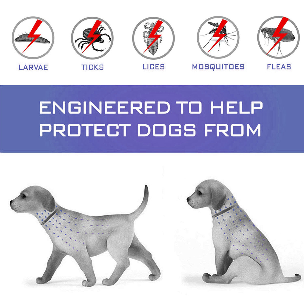 HKM-3563197 Flea and Mosquito Repellent Collars for Dogs and Cats - Grey, Fashionable Design