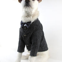 HKM-3563581 Elegant Wedding Dress Pet Suit for Gentlemen - Cotton Fabric, Multiple Sizes Available
