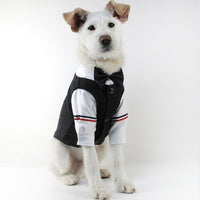 HKM-3563581 Elegant Wedding Dress Pet Suit for Gentlemen - Cotton Fabric, Multiple Sizes Available