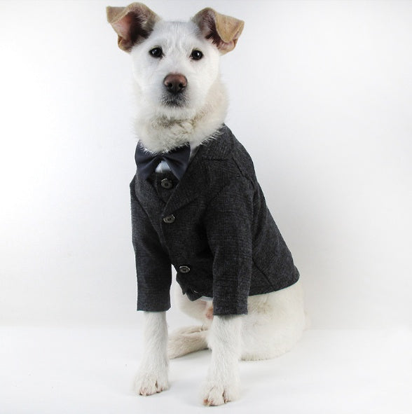 HKM-3563581 Elegant Wedding Dress Pet Suit for Gentlemen - Cotton Fabric, Multiple Sizes Available