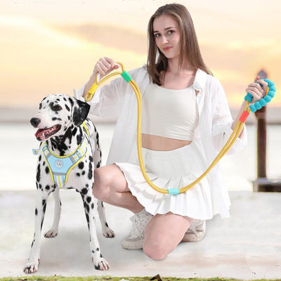 HKM-3570749 Wear-Resistant Large Dog Traction Leash in Multiple Colors