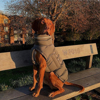 HKM-3571389 Thickened Thermal Vest for Dogs - 100% Recycled Polyester, Available in Dark Gray and Pink