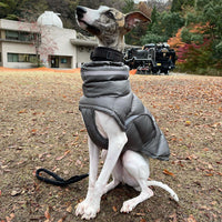 HKM-3571389 Thickened Thermal Vest for Dogs - 100% Recycled Polyester, Available in Dark Gray and Pink