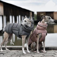 HKM-3571389 Thickened Thermal Vest for Dogs - 100% Recycled Polyester, Available in Dark Gray and Pink