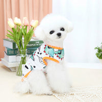 HKM-3572541 Spring and Summer Pet Costumes - Red and Green Apple Patterns, Dinosaur, and Rabbit Styles in Sizes S-XXL