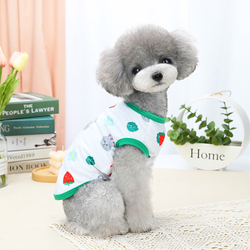 HKM-3572541 Spring and Summer Pet Costumes - Red and Green Apple Patterns, Dinosaur, and Rabbit Styles in Sizes S-XXL