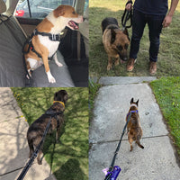 HKM-3576509 Explosion-proof Elastic Dog Leash with Reflective Design - Scalable Nylon Construction, Multiple Color Options