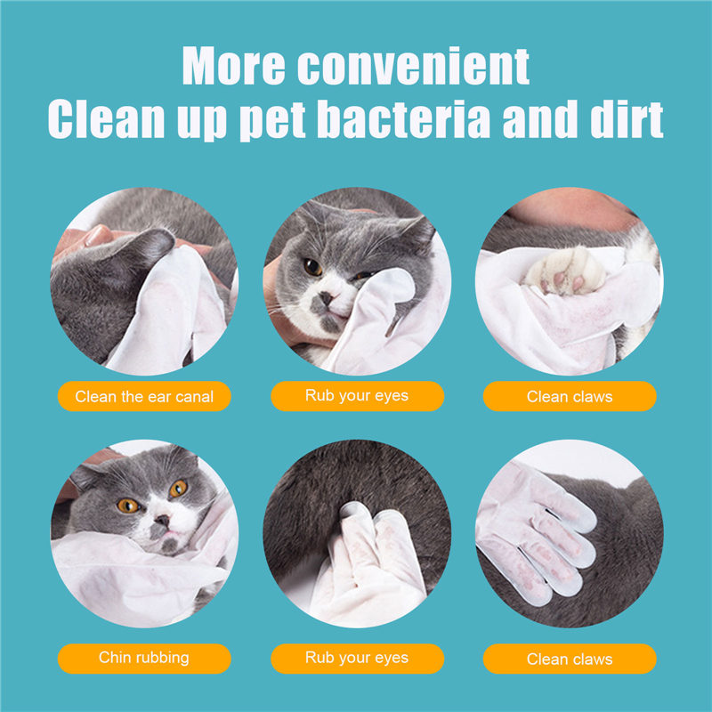 HKM-3578301 Pet Disposable Gloves - 6 Pack Non-woven Aluminum Foil Design, Ideal for Cat Care