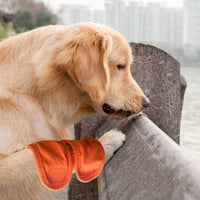 HKM-3579325 Adjustable Pet Knee Brace for Dog Postoperative Recovery - Size S, M, L Available