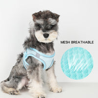 HKM-3582269 Reflective Plaid Dog Harness with Traction Rope - Adjustable Fit for Comfort and Safety