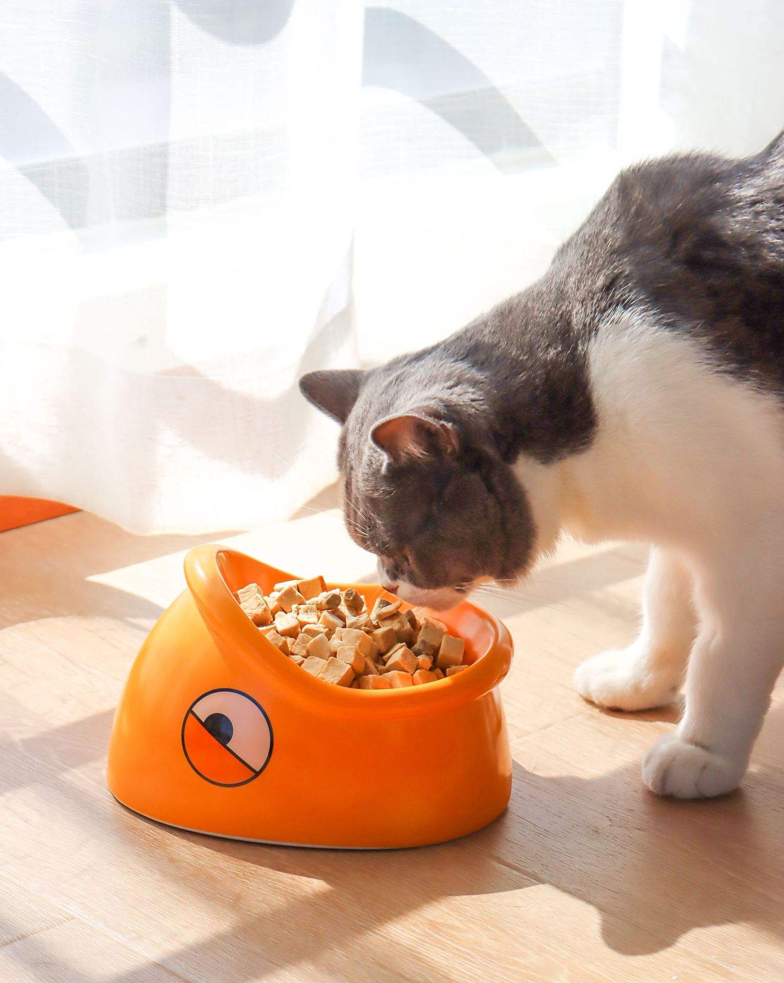 HKM-3582653 Ceramic Pet Food Bowl with Heightened Design for Cats and Small Animals