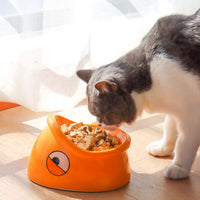 HKM-3582653 Ceramic Pet Food Bowl with Heightened Design for Cats and Small Animals