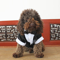 HKM-3583037 Elegant Cotton Bow Tie Evening Dress for Puppies in Black and Gray