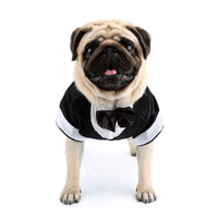 HKM-3583037 Elegant Cotton Bow Tie Evening Dress for Puppies in Black and Gray