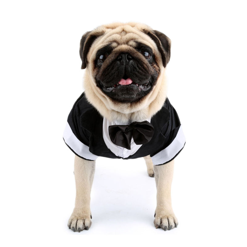 HKM-3583037 Elegant Cotton Bow Tie Evening Dress for Puppies in Black and Gray