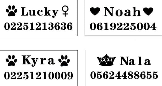 HKM-3584317 Customizable Dog Collar with Adjustable Sizing for Small to Large Dogs
