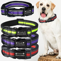 HKM-3584317 Customizable Dog Collar with Adjustable Sizing for Small to Large Dogs
